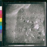 ���Ƚs��:35PR-5MH-12TV