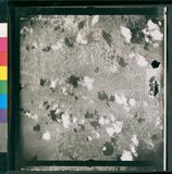 ���Ƚs��:35PR-5MH-12TV