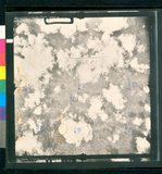 ���Ƚs��:35PR-5MH-56TV