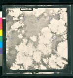 ���Ƚs��:35PR-5MH-56TV