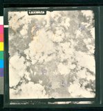 ���Ƚs��:35PR-5MH-56TV