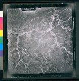 ���Ƚs��:35PR-5MH-77TV