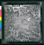 ���Ƚs��:35PR-5MH-77TV