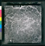 ���Ƚs��:35PR-5MH-77TV