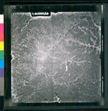 ���Ƚs��:35PR-5MH-77TV