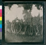 ���Ƚs��:49-122