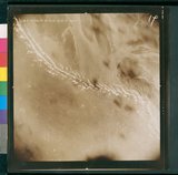 ���Ƚs��:49-136