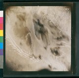 ���Ƚs��:49-136