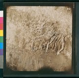 ���Ƚs��:49-136