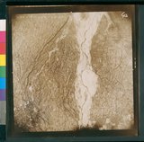 ���Ƚs��:49-136