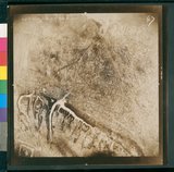 ���Ƚs��:49-136