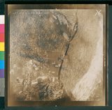 ���Ƚs��:49-136