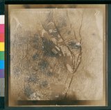 ���Ƚs��:49-136