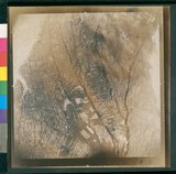 ���Ƚs��:49-136