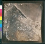 ���Ƚs��:49-157