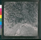 ���Ƚs��:49-157