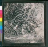 ���Ƚs��:49-157