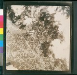 ���Ƚs��:49-157