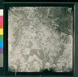 ���Ƚs��:49-159