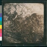 ���Ƚs��:49-160