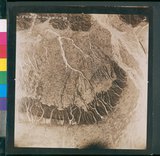 ���Ƚs��:49-162