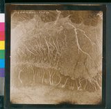 ���Ƚs��:49-162