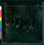 ���Ƚs��:49-211