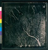 ���Ƚs��:49-211