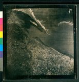 ���Ƚs��:49-211