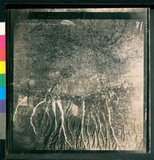 ���Ƚs��:49-211