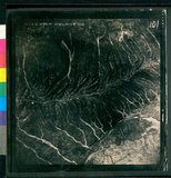 ���Ƚs��:49-211