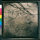 ���Ƚs��:49-213