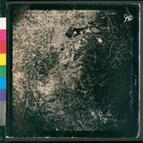 ���Ƚs��:49-213