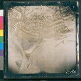 ���Ƚs��:50-001