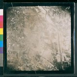 ���Ƚs��:50-001