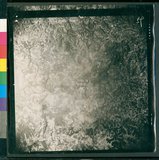 ���Ƚs��:50-001