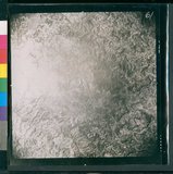 ���Ƚs��:50-001