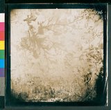 ���Ƚs��:50-001