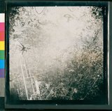 ���Ƚs��:50-001