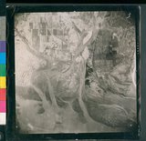 ���Ƚs��:50-002