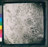 ���Ƚs��:50-002