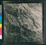 ���Ƚs��:50-013