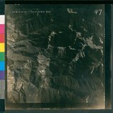 ���Ƚs��:50-021