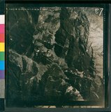 ���Ƚs��:50-021