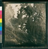 ���Ƚs��:50-021