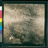 ���Ƚs��:50-021