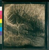 ���Ƚs��:50-021