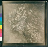 ���Ƚs��:50-022