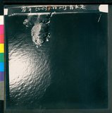 ���Ƚs��:50-035