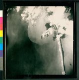 ���Ƚs��:50-141